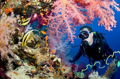 Nitrox diving in Belize