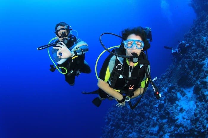 Lost my padi card.