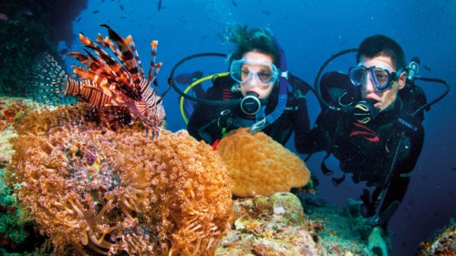 Scuba diving classes online.