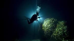 Learn to scuba dive.
