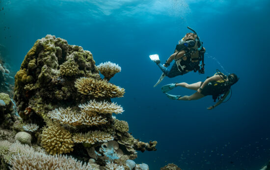 Scuba diving school online.