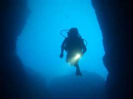 Padi night diving course with nitrox cert.