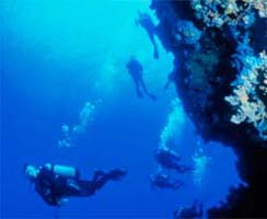 Scuba diving classes.