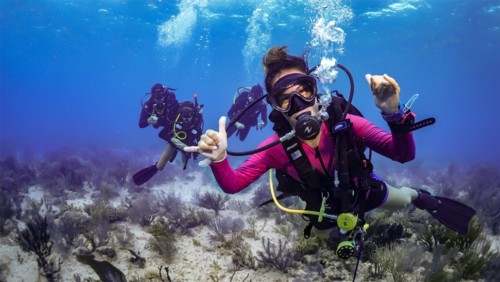 Lost my padi card.