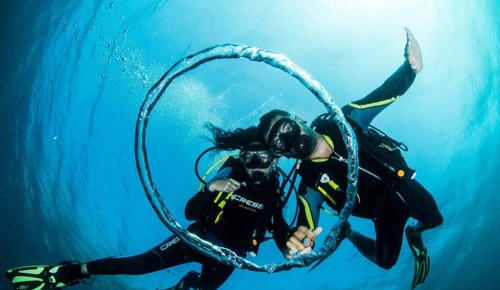 Padi scuba certification online.