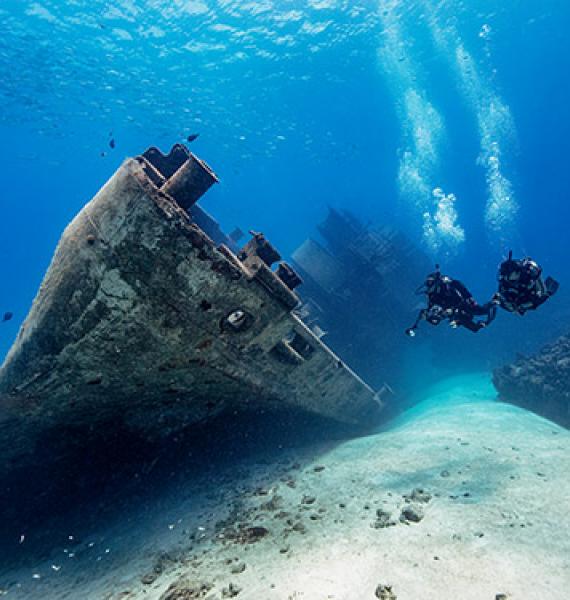 Get your Scuba diving license for padi and naui. 