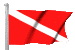 Online scuba certification.