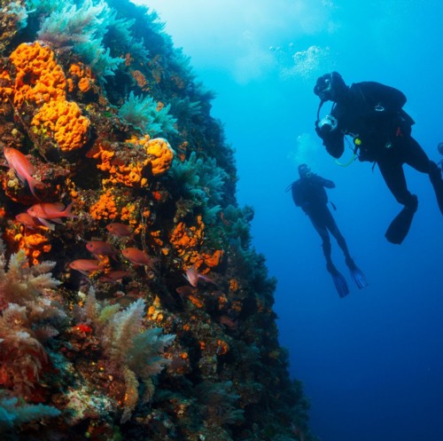 Diving course certfication with eanx nitrox.