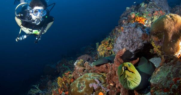 Scuba diving with nitrox.