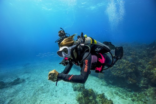 Nasds scuba replacement cards.
